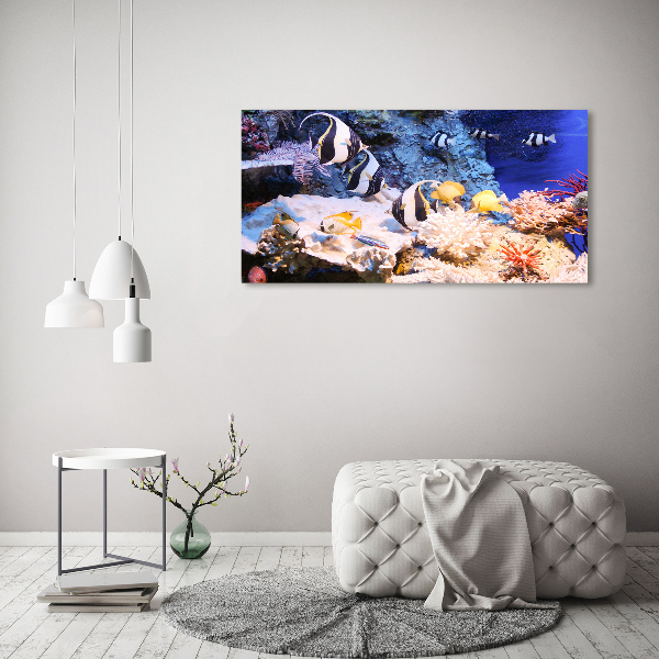 Wall art on glass Coral reef