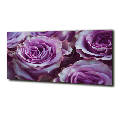 Wall art on glass Purple roses