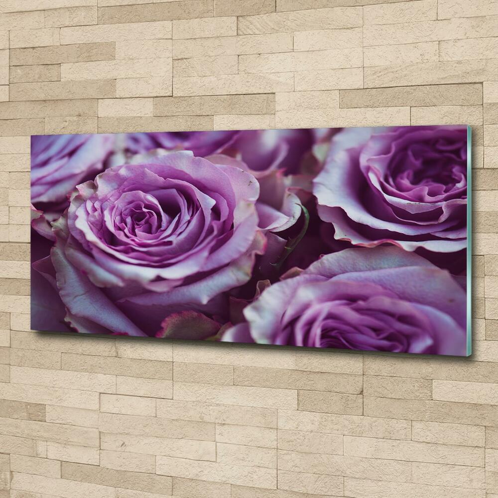 Wall art on glass Purple roses