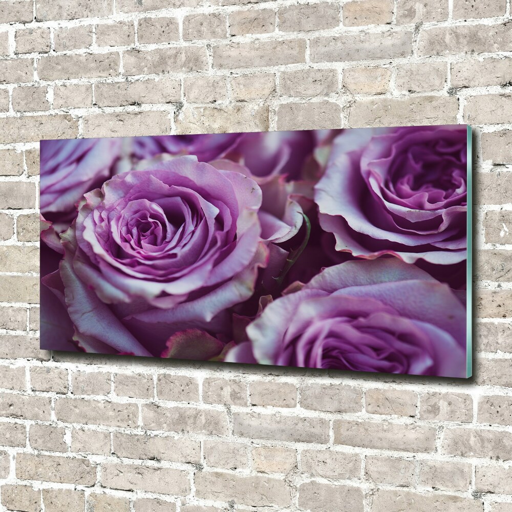 Wall art on glass Purple roses