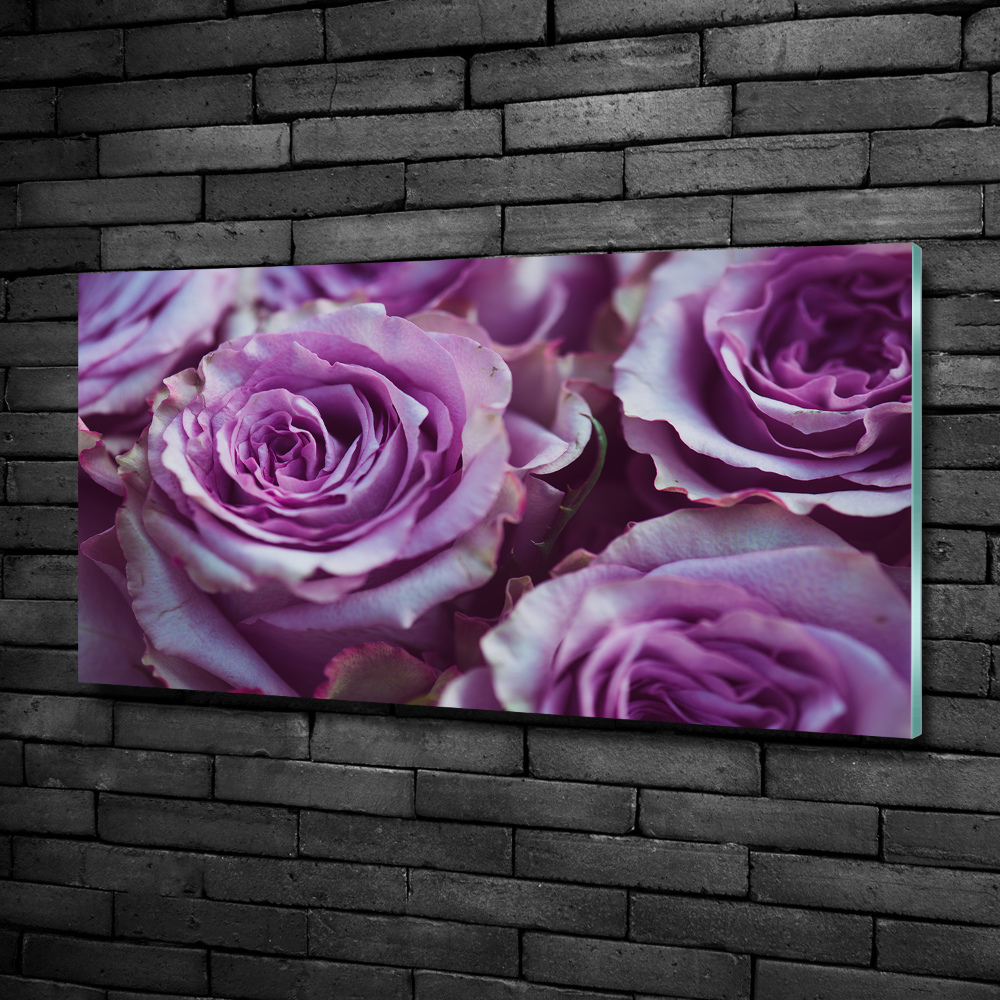 Wall art on glass Purple roses