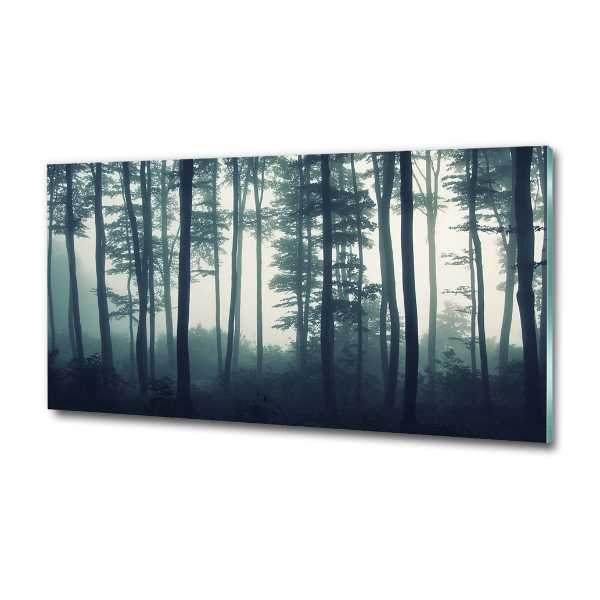 Glass picture wall art Forest in the fog