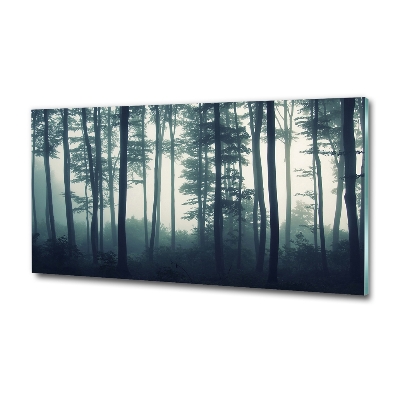 Glass picture wall art Forest in the fog