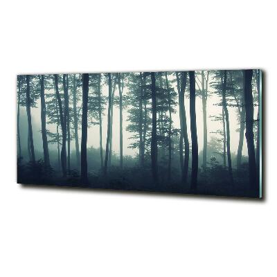 Glass picture wall art Forest in the fog