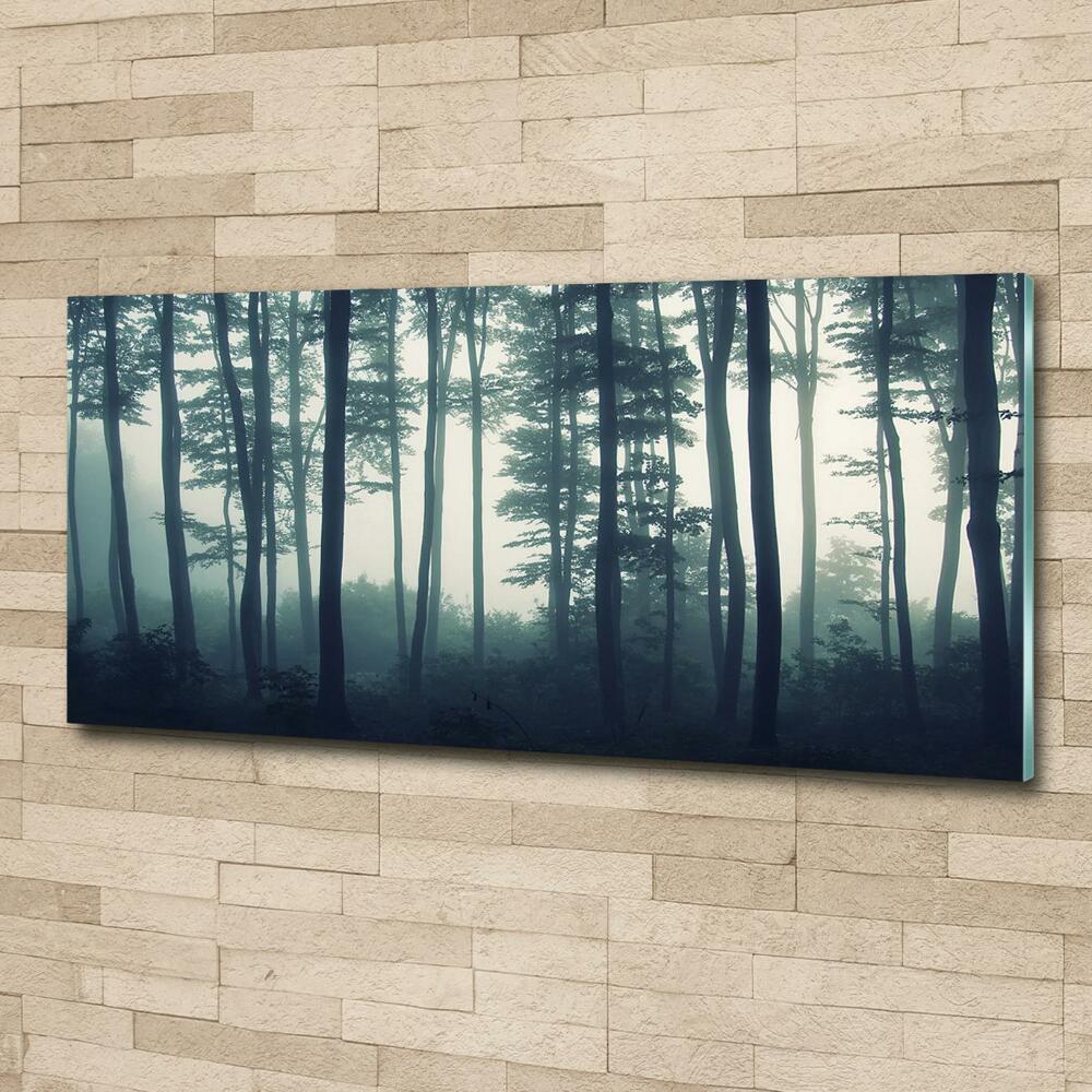 Glass picture wall art Forest in the fog