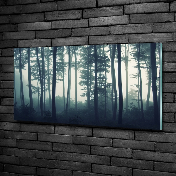 Glass picture wall art Forest in the fog