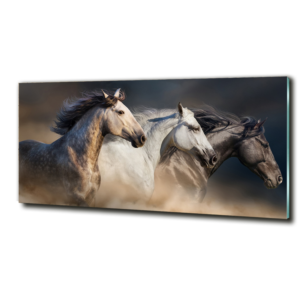 Wall art on glass Horses at gallop