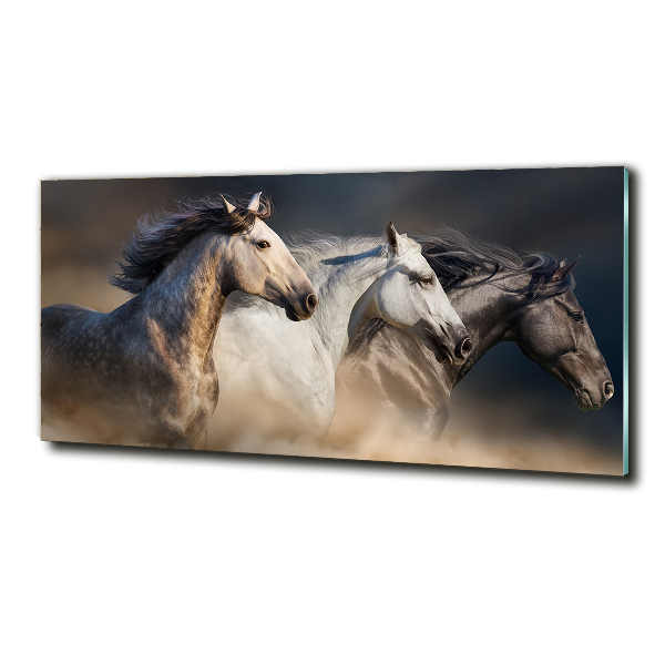 Wall art on glass Horses at gallop