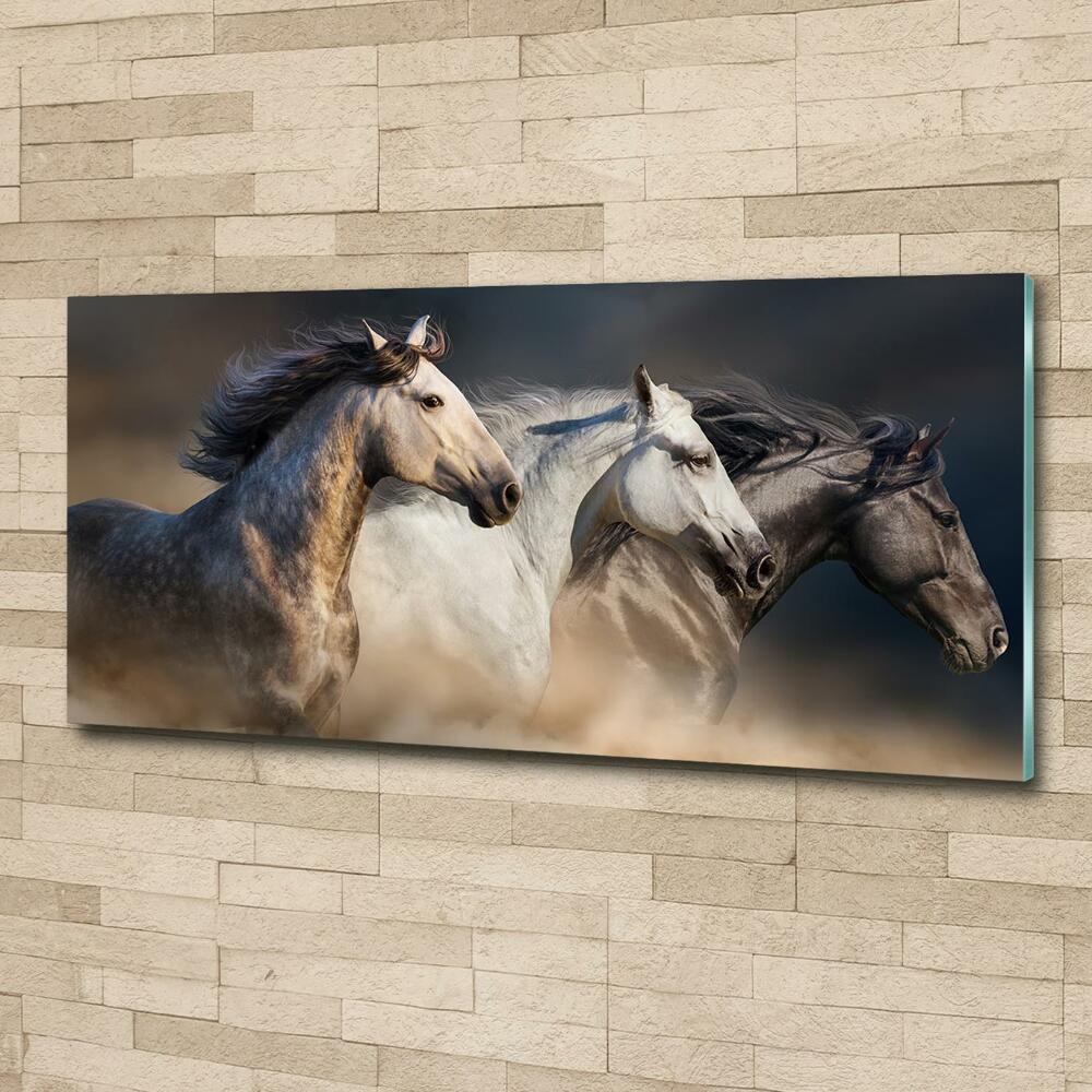 Wall art on glass Horses at gallop