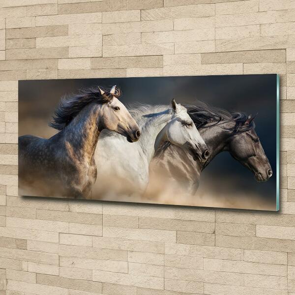 Wall art on glass Horses at gallop