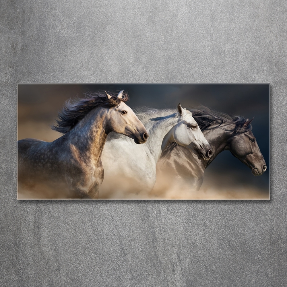 Wall art on glass Horses at gallop