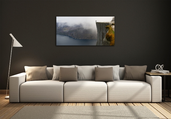 Photo printed on glass Norwegian cliff