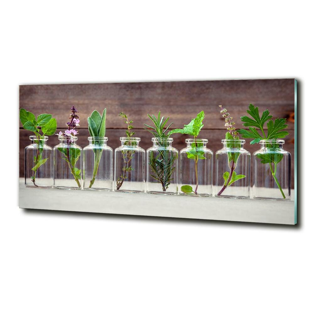 Wall art on glass Plants in jars