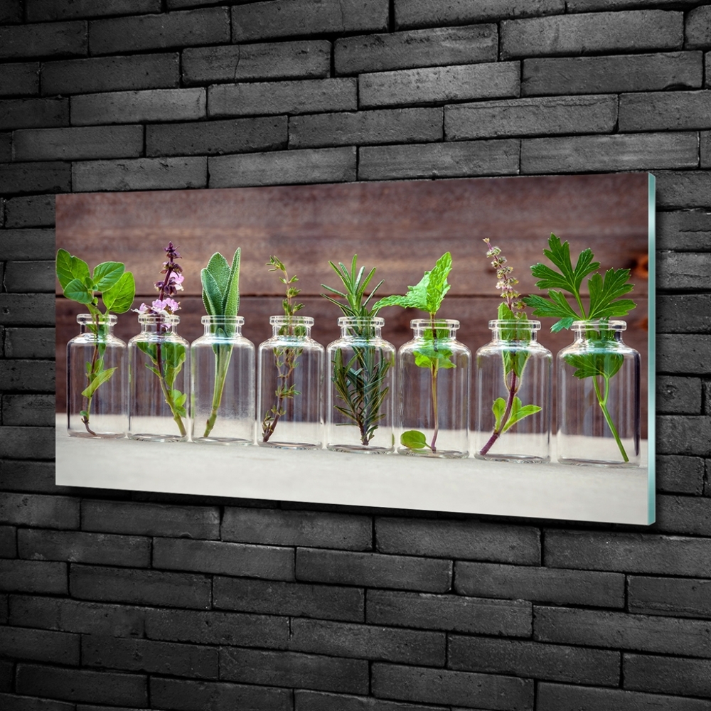 Wall art on glass Plants in jars