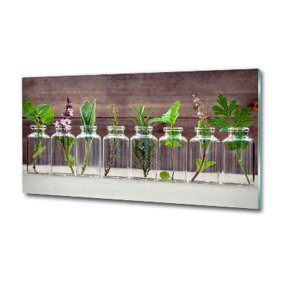 Wall art on glass Plants in jars