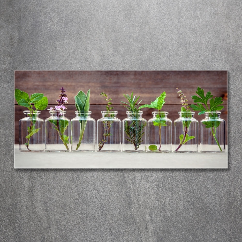 Wall art on glass Plants in jars