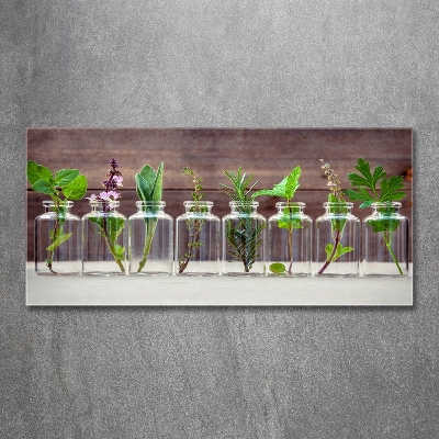 Wall art on glass Plants in jars