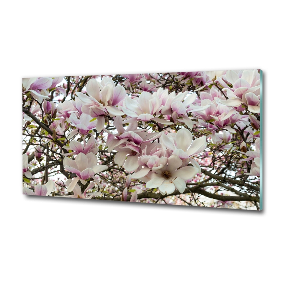 Glass art print Magnolia flowers