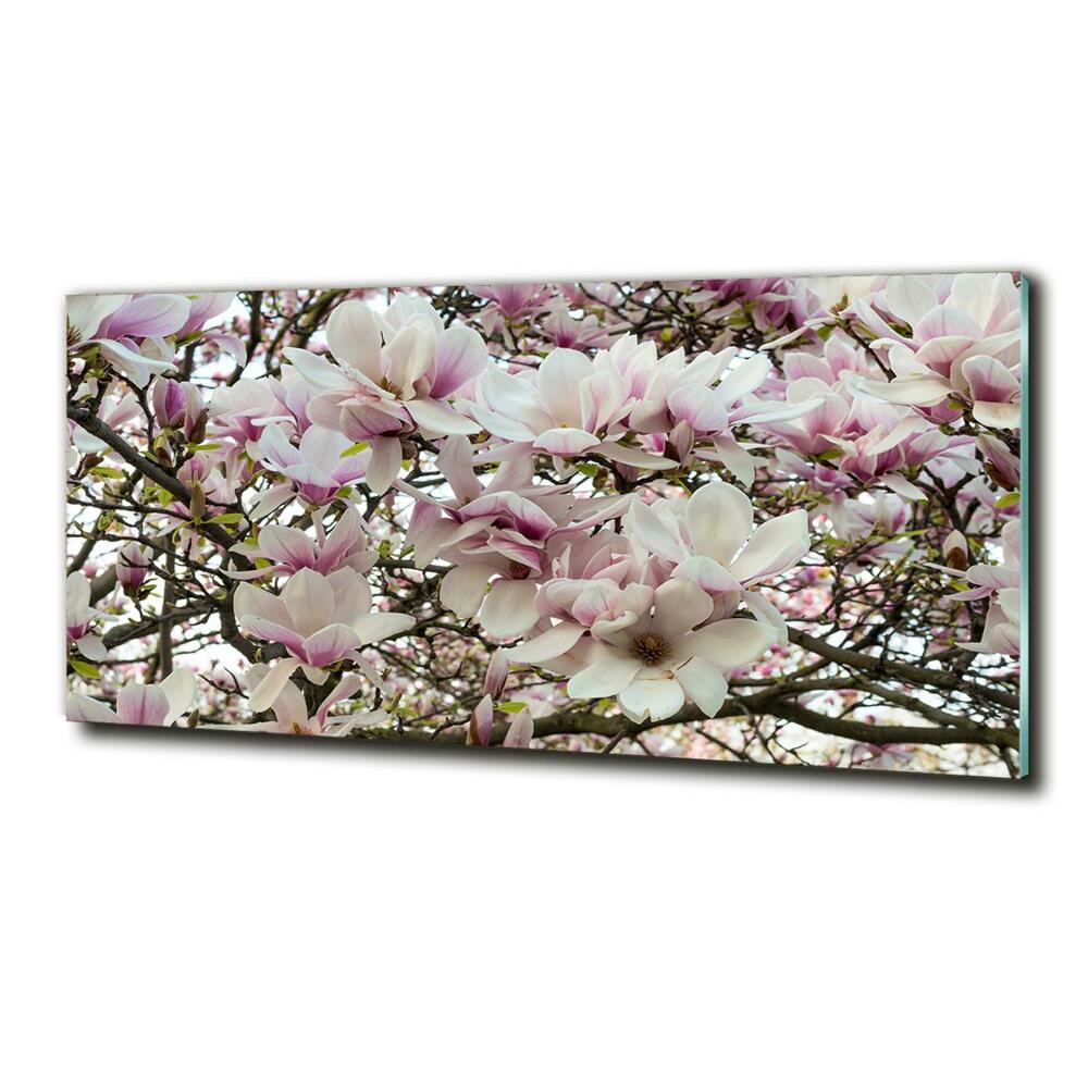 Glass art print Magnolia flowers