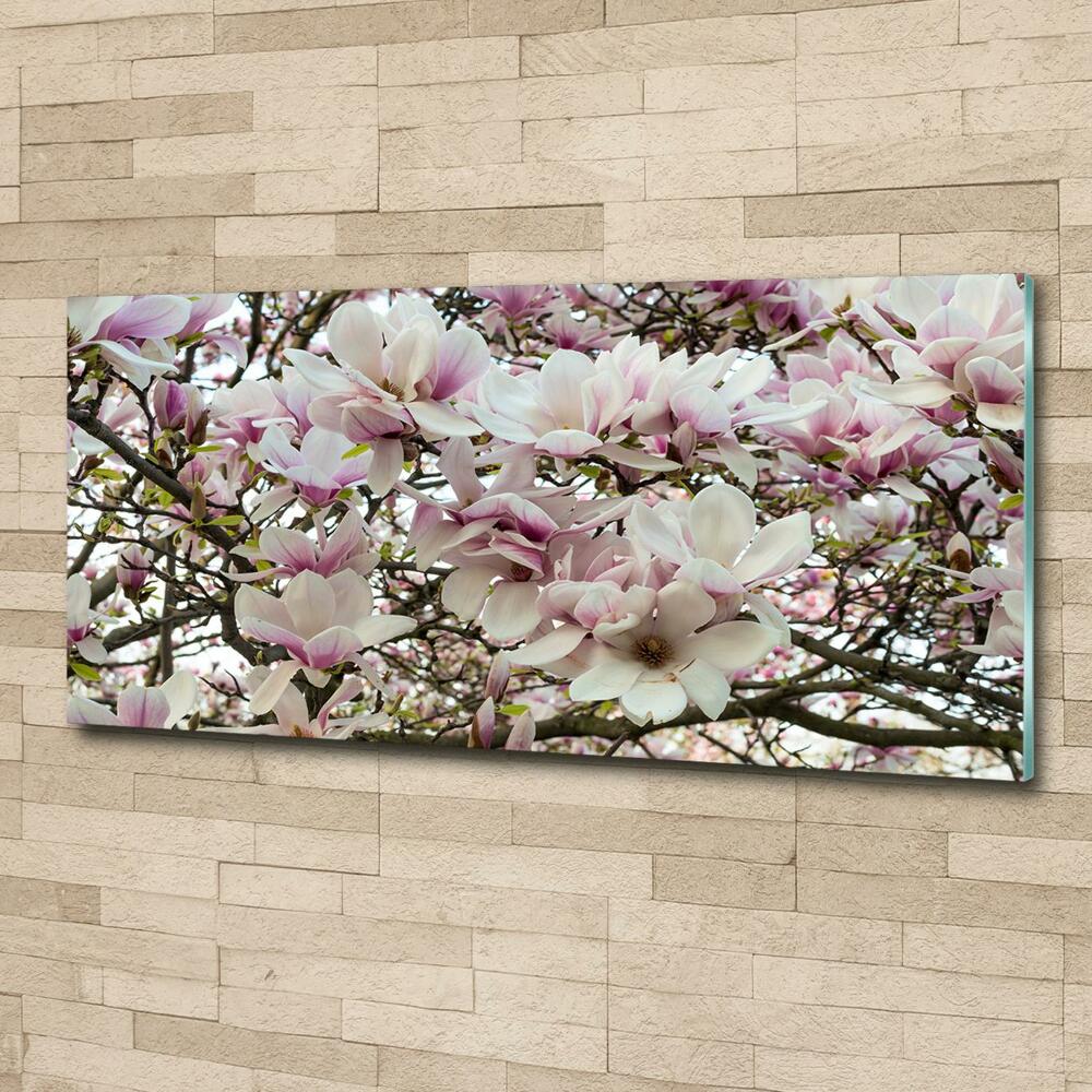 Glass art print Magnolia flowers