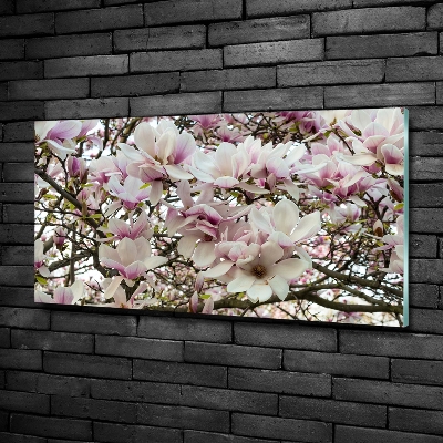 Glass art print Magnolia flowers