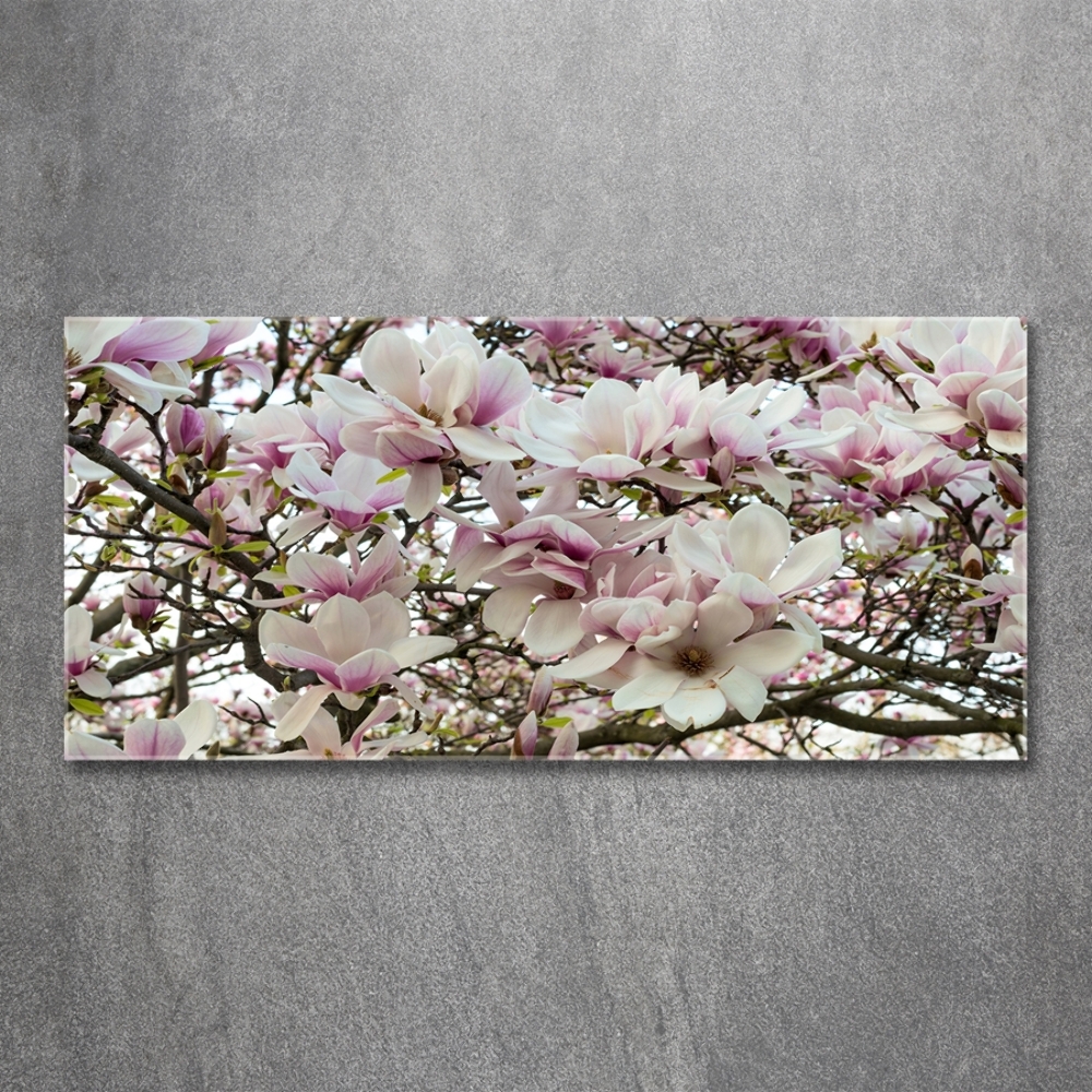 Glass art print Magnolia flowers