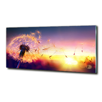 Wall art on glass Dandelion