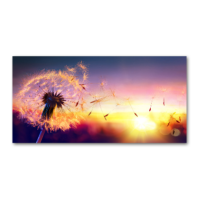 Wall art on glass Dandelion