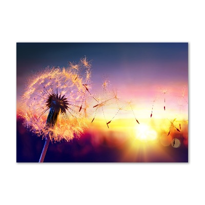 Wall art on glass Dandelion