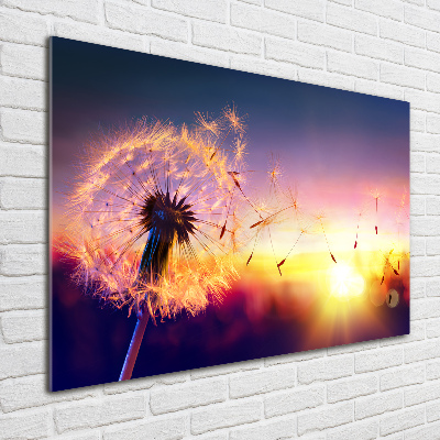 Wall art on glass Dandelion