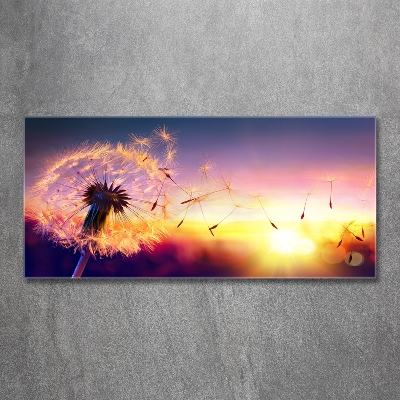 Wall art on glass Dandelion