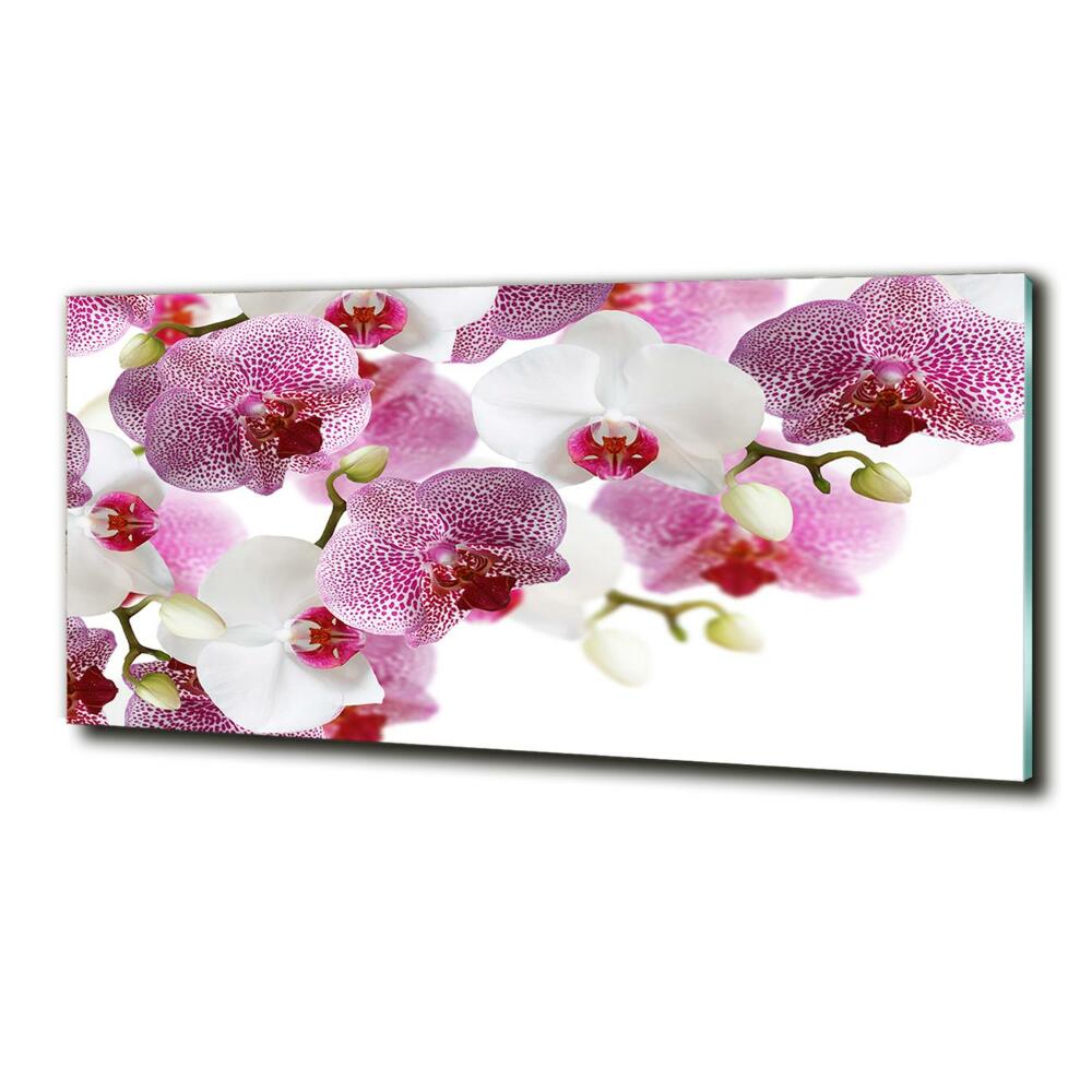 Glass art print Orchid