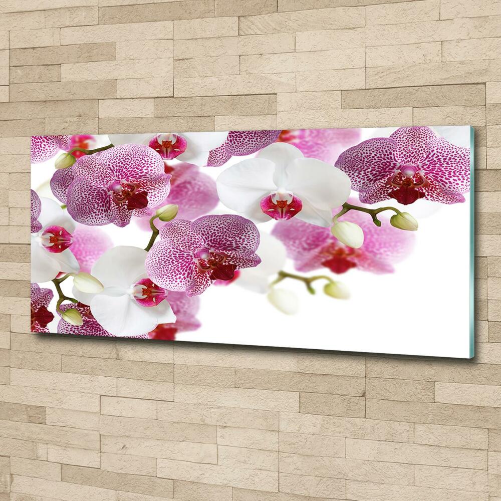 Glass art print Orchid