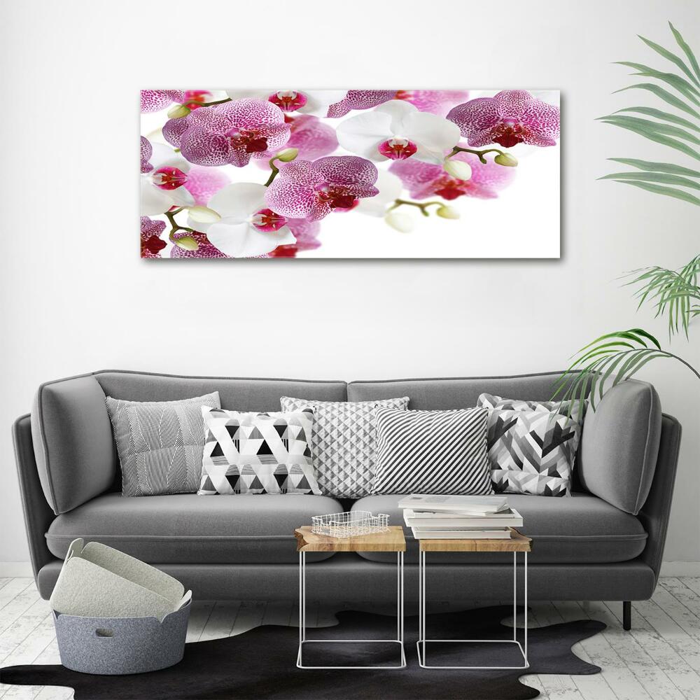 Glass art print Orchid