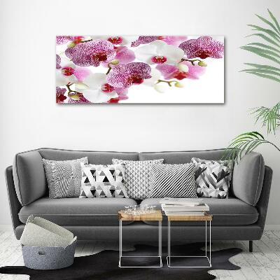 Glass art print Orchid