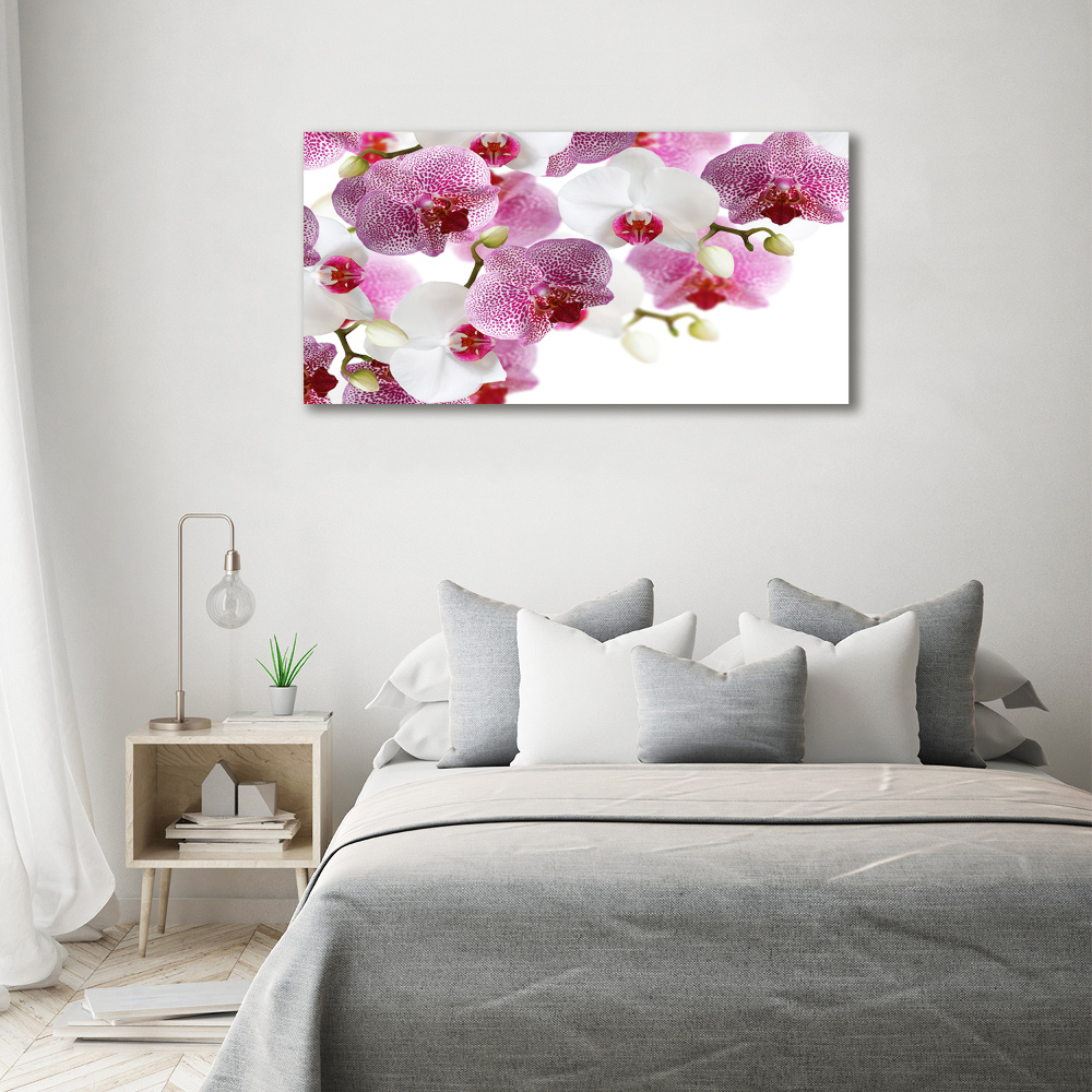 Glass art print Orchid