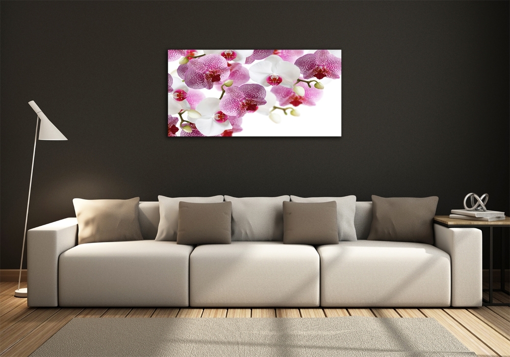 Glass art print Orchid