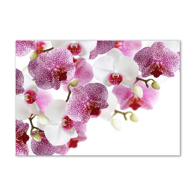 Glass art print Orchid