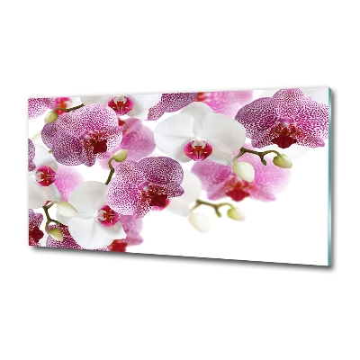 Glass art print Orchid