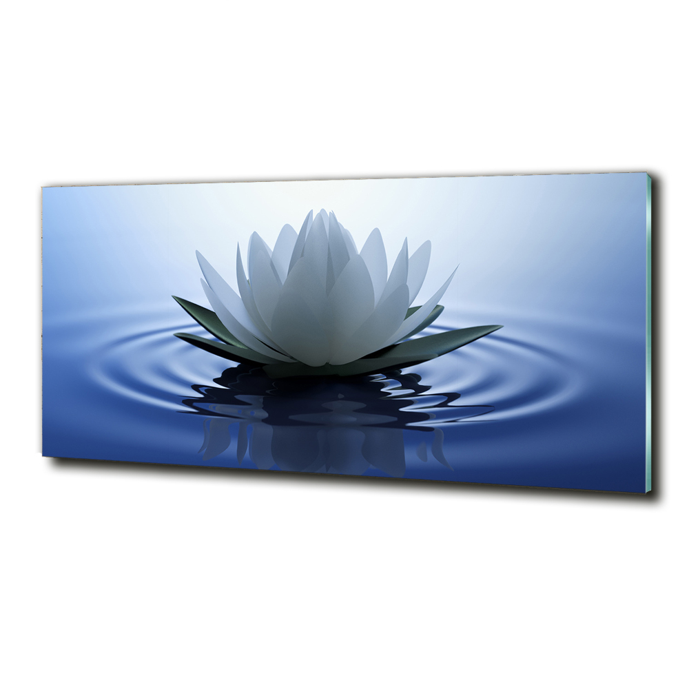 Wall art on glass Water lily