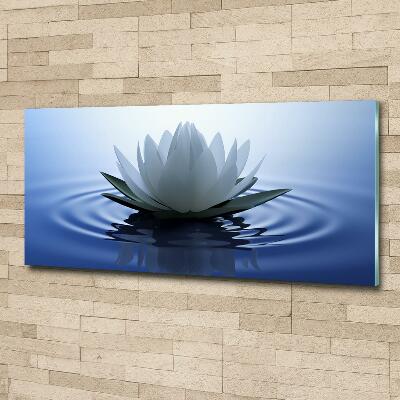 Wall art on glass Water lily