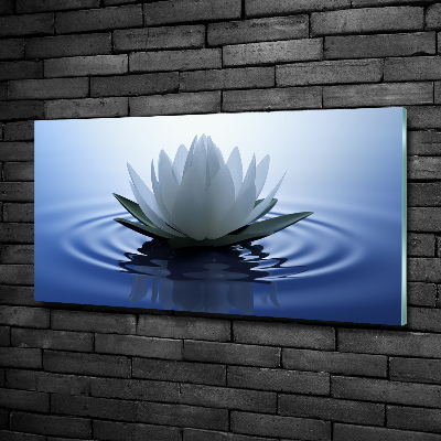 Wall art on glass Water lily