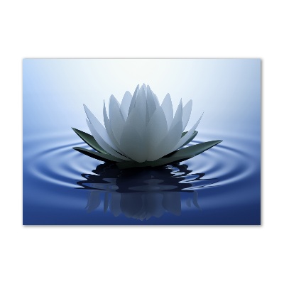 Wall art on glass Water lily