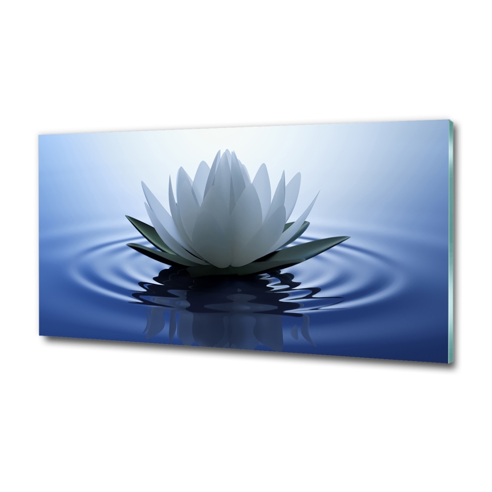 Wall art on glass Water lily