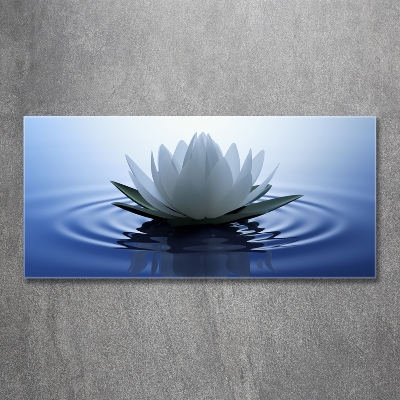 Wall art on glass Water lily