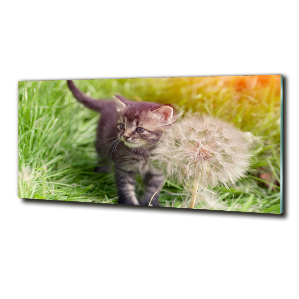 Wall art on glass Kitty with dandelion