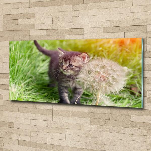 Wall art on glass Kitty with dandelion