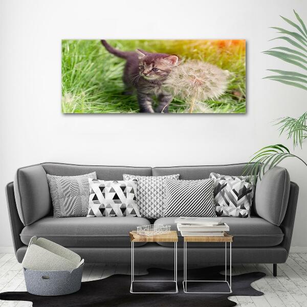 Wall art on glass Kitty with dandelion