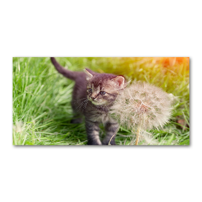 Wall art on glass Kitty with dandelion