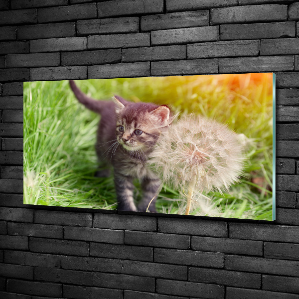 Wall art on glass Kitty with dandelion